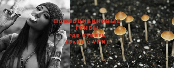 прущая мука Козельск