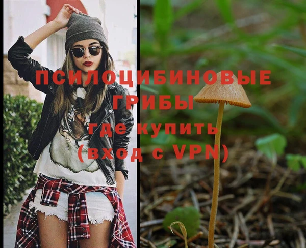 гидропоника Кинешма