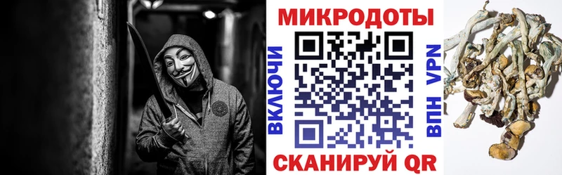 Псилоцибиновые грибы прущие грибы  Купить  Шадринск 
