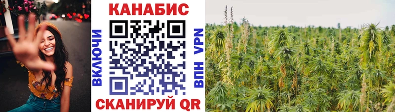 Канабис Amnesia  Купить где  Шадринск 